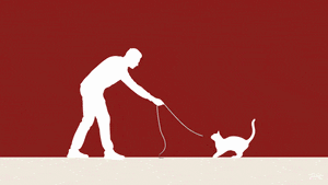 A person playing with their cat